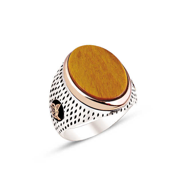 Silver Tiger Eye Stone Point Cased Ring